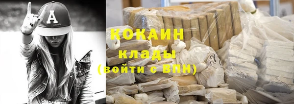 индика Приозерск