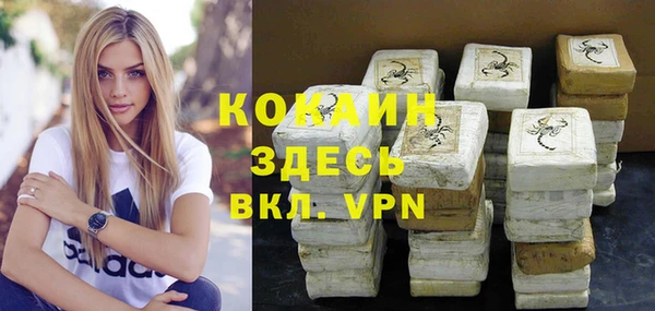 индика Приозерск